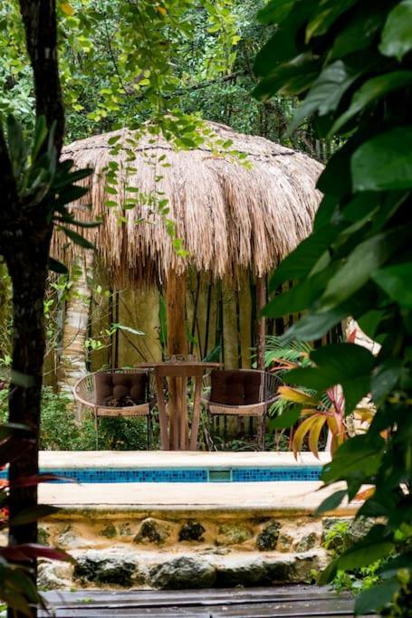 Hermosa Villa Con Espacios De Naturaleza Y Yoga Puerto Morelos Eksteriør billede